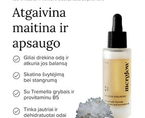 #1 Reklama Meta ads / Google ads / Oceanflow. / Darbų pavyzdys ID 4038961