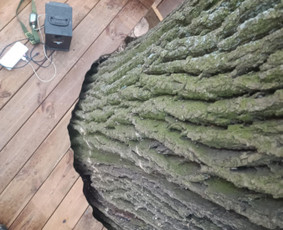 Terasų įrengimas - Terasų įrengimas - 2 Terasų įrengimas - Terasų įrengimas - 2