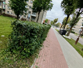 Vejos priežiūra Šiauliuose, Šiaulių rajone / Žolėja / Darbų pavyzdys ID 4039485