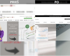 Internetinių svetainių kūrimas / Karolis Lukauskas / Darbų pavyzdys ID 4040479