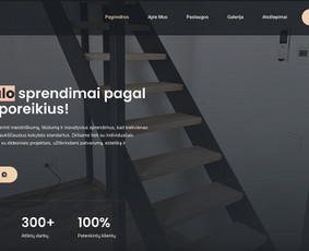 Internetinių svetainių kūrimas / Karolis Lukauskas / Darbų pavyzdys ID 4040523
