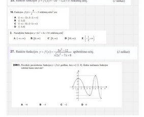 Matematikos mokytoja: 9-12kl, eksternai, Vbe, Pupp, Ib / Dominyka Rynkevičiūtė / Darbų pavyzdys ID 4040727