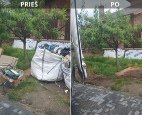 Pigiausias atliekų, šiukšlių išvežimas perkraustymo griovimo / Siuksliu isvezimas Griovimo darbai / Darbų pavyzdys ID 4041253