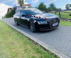 Auto vestuvėms / Automobilių nuoma / Darbų pavyzdys ID 4041281