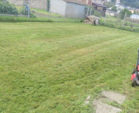 Žolės Pjovimas Su Trimeriu Ir Žoliapjove / Mindaugas / Darbų pavyzdys ID 4041345