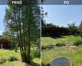 Sklypų tvarkymas: medžių ir krūmų pjovimas su išvežimu. / Albertas Rakuckis / Darbų pavyzdys ID 4041567