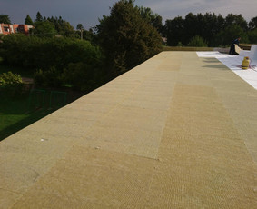Ploksciu stogu dengimas / Stogų dengimas, remontas / Darbų pavyzdys ID 883685