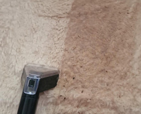 Plaunamo siurblio ir langų roboto nuoma Kaune - Plaunamo siurblio nuoma - 2 Plaunamo siurblio nuoma - Plaunamo siurblio ir langų roboto nuoma Kaune - 2