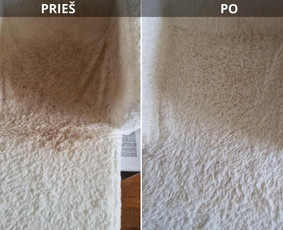 Plaunamo siurblio ir langų roboto nuoma Kaune - Plaunamo siurblio nuoma - 1 Plaunamo siurblio nuoma - Plaunamo siurblio ir langų roboto nuoma Kaune - 1