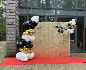 Foto sienos nuoma / Blisgu / Darbų pavyzdys ID 4042103