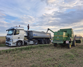 Krovinių, statybinės ir kitos technikos gabenimas - Birių krovinių pervežimas - 2 Birių krovinių pervežimas - Krovinių, statybinės ir kitos technikos gabenimas - 2