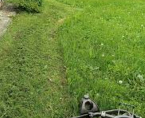Žolės pjovimas - Vejos prieziura, yrengimas. - 4