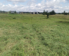 Žolės Pjovimas Su Trimeriu Ir Žoliapjove / Mindaugas / Darbų pavyzdys ID 4043281