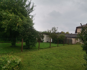 Žolės Pjovimas Su Trimeriu Ir Žoliapjove / Mindaugas / Darbų pavyzdys ID 4043285