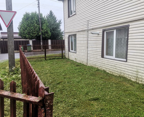 Žolės Pjovimas Su Trimeriu Ir Žoliapjove / Mindaugas / Darbų pavyzdys ID 4043287