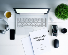 Profesionali Pagalba. Diplominiai Darbai / Nerijus / Darbų pavyzdys ID 4044203
