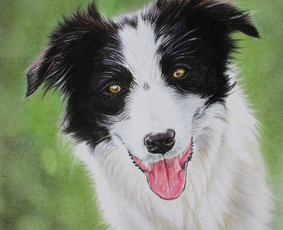 A4, pastelė