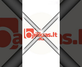 Projektas - internetinė parduotuvė Baikas.lt