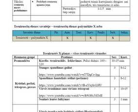 Asmeninis bendro fizinio pasirengimo, sporto treneris - Sporto programos sudarymas - 2 Sporto programos sudarymas - Asmeninis bendro fizinio pasirengimo, sporto treneris - 2
