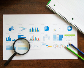 Seo ir Google Ads paslaugos Lietuvoje bei užsienyje / SEO Skills Central/ Augustas P. / Darbų pavyzdys ID 4045447