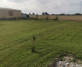 Žolės Pjovimas Su Trimeriu Ir Žoliapjove / Mindaugas / Darbų pavyzdys ID 4045601