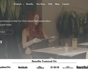 Interneto svetainių kūrimas - Internetinų parduotuvių, svetainių kūrimas, redagavimas. - 1