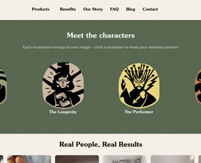 Programavimas su WordPress - Internetinų parduotuvių, svetainių kūrimas, redagavimas. - 4