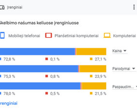 Efektyvi Google Ads reklama, konsultacijos - Paslaugos verslui - 4 Paslaugos verslui - Efektyvi Google Ads reklama, konsultacijos - 4