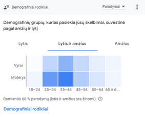 Efektyvi Google Ads reklama, konsultacijos - Paslaugos verslui - 3 Paslaugos verslui - Efektyvi Google Ads reklama, konsultacijos - 3