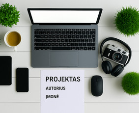 Profesionali Pagalba. Diplominiai Darbai / Nerijus / Darbų pavyzdys ID 4046327
