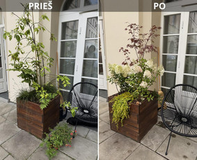 Aplinkos tvarkymas, apželdinimas - Kiemų/terasų/balkonų apželdinimas - 2