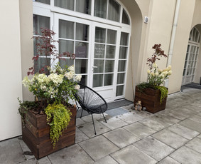 Aplinkos tvarkymas, apželdinimas - Kiemų/terasų/balkonų apželdinimas - 1