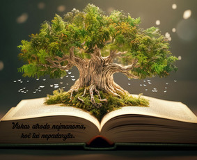 Lietuvių kalbos pamokos, Lithuanian for foreigners - Mokymai, kursai, kalbos - 4 Mokymai, kursai, kalbos - Lietuvių kalbos pamokos, Lithuanian for foreigners - 4