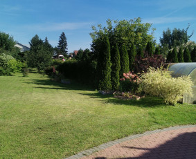 Žolės Pjovimas Su Trimeriu Ir Žoliapjove / Mindaugas / Darbų pavyzdys ID 4047387