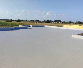 Plokščių Stogų Dengimas Pvc, Epdm ir bitumine Danga / Tvirti stogai / Darbų pavyzdys ID 4047981