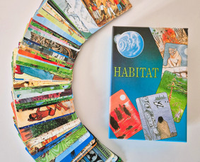 Sveikata, gydymas - Psichologinis konsultavimas, geštalto psichoterapija - 4