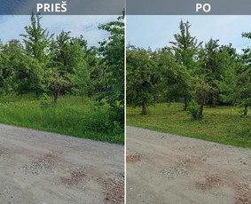 Pjaunu veją žoliapjove ir trimeriu, išrašau Sf / Tomas aplinkos priežiūra / Darbų pavyzdys ID 4048285