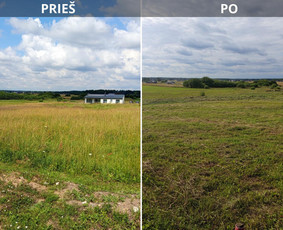 Pjaunu veją žoliapjove ir trimeriu, išrašau Sf / Tomas aplinkos priežiūra / Darbų pavyzdys ID 4048329