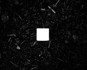 Nuotraukų redagavimas - Fotografija - 4