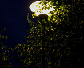 Nuotraukų redagavimas - Fotografija - 2