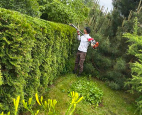Žolės pjovimas,gyvatvorių karpymas - Aplinkos tvarkymas, apželdinimas - 1 Aplinkos tvarkymas, apželdinimas - Žolės pjovimas,gyvatvorių karpymas - 1