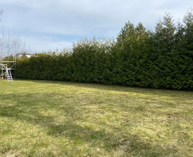 Sklypu sienavimas/apleistu sklypu tvarkymas / Artūras Kupčia / Darbų pavyzdys ID 4049137
