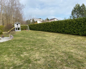 Skarifikavimas/aeravimas/levelingas / Artūras Kupčia / Darbų pavyzdys ID 4049139
