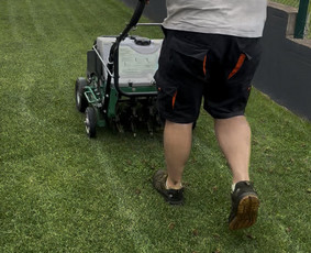 Vejos aeravimas - Zoles pjovimas/vejos pjovimas nedideliu plotu irengimas - 1