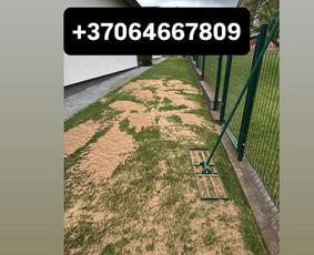 Skarifikavimas/aeravimas/levelingas / Artūras Kupčia / Darbų pavyzdys ID 4049191