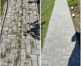 Sklypu sienavimas/apleistu sklypu tvarkymas / Artūras Kupčia / Darbų pavyzdys ID 4049283