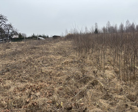 Skarifikavimas/aeravimas/levelingas / Artūras Kupčia / Darbų pavyzdys ID 4049295