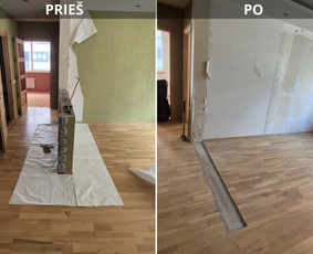 Griovimo/demontavimo darbai už prieinamą kainą! / Edgaras / Darbų pavyzdys ID 4050675