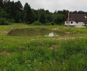 Žemės frezavimas, vejų įrengimas / Audrius Budrys / Darbų pavyzdys ID 4050767
