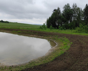 Žemės frezavimas, vejų įrengimas / Audrius Budrys / Darbų pavyzdys ID 4050771